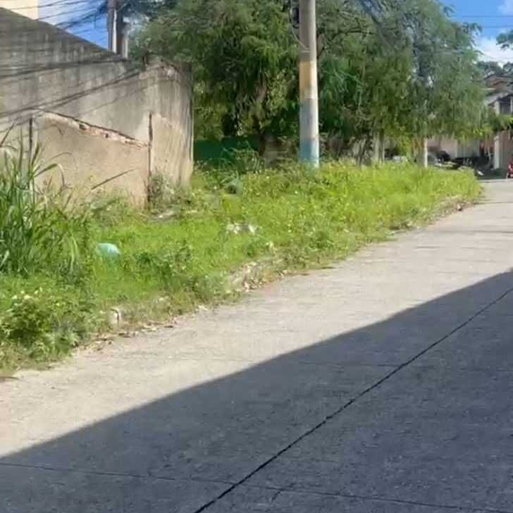Imagem da publicação