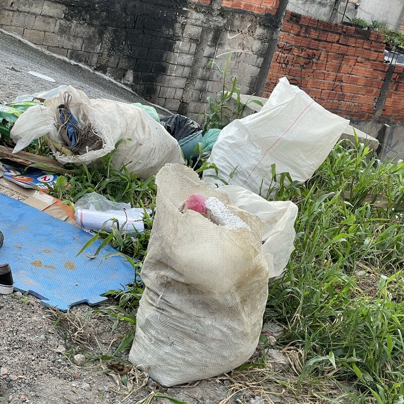 Imagem da publicação