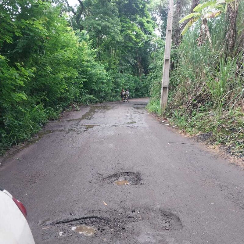 Imagem da publicação