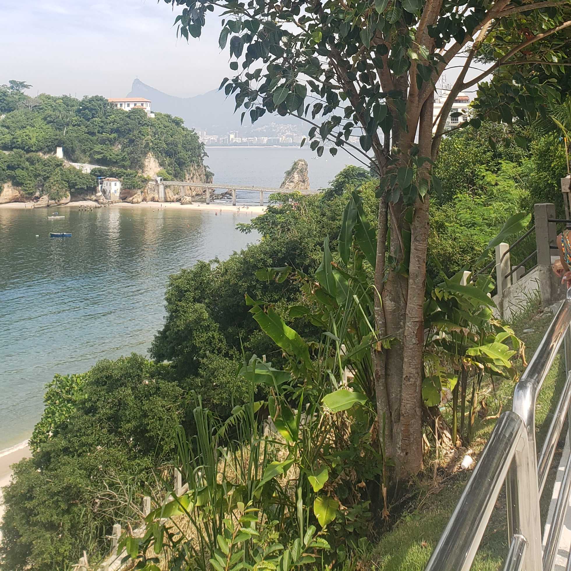 Imagem da publicação