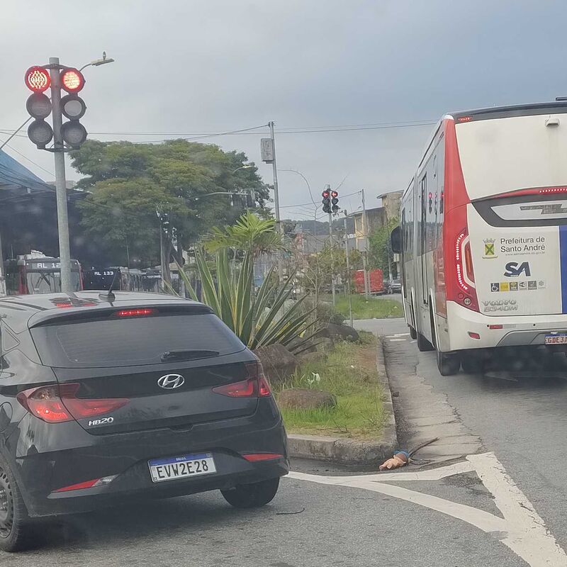 Imagem da publicação