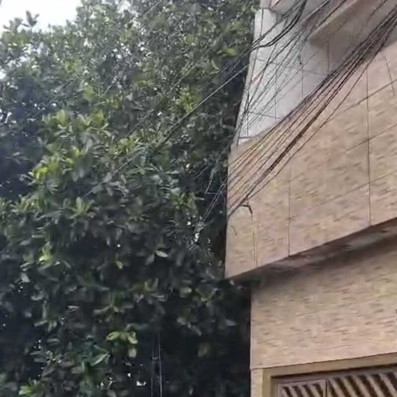 Imagem da publicação