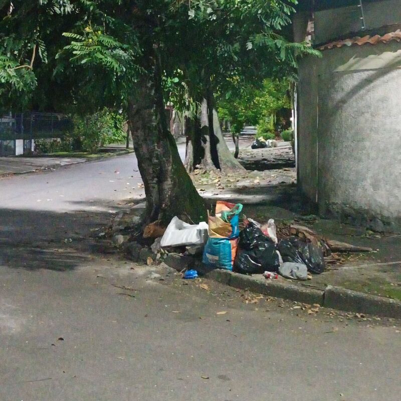 Imagem da publicação