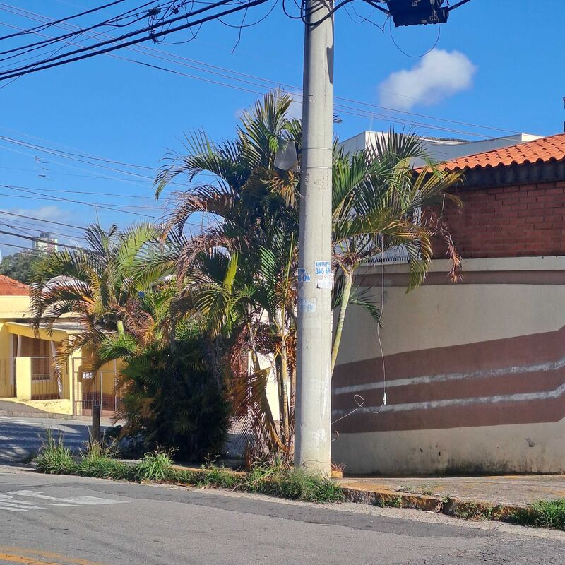 Imagem da publicação