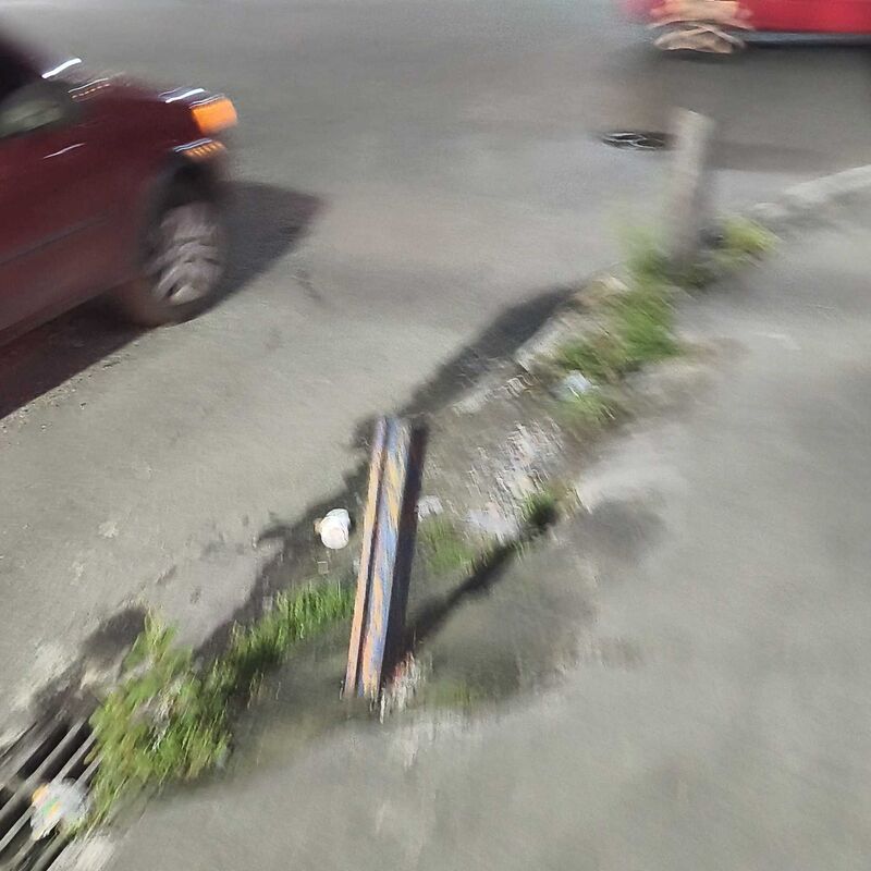 Imagem da publicação