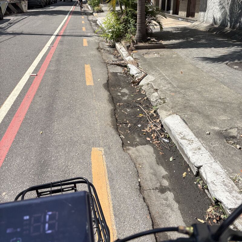 Imagem da publicação