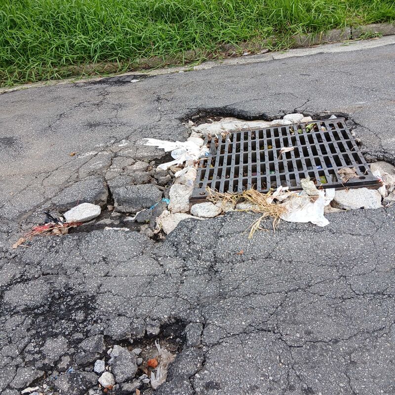 Imagem da publicação