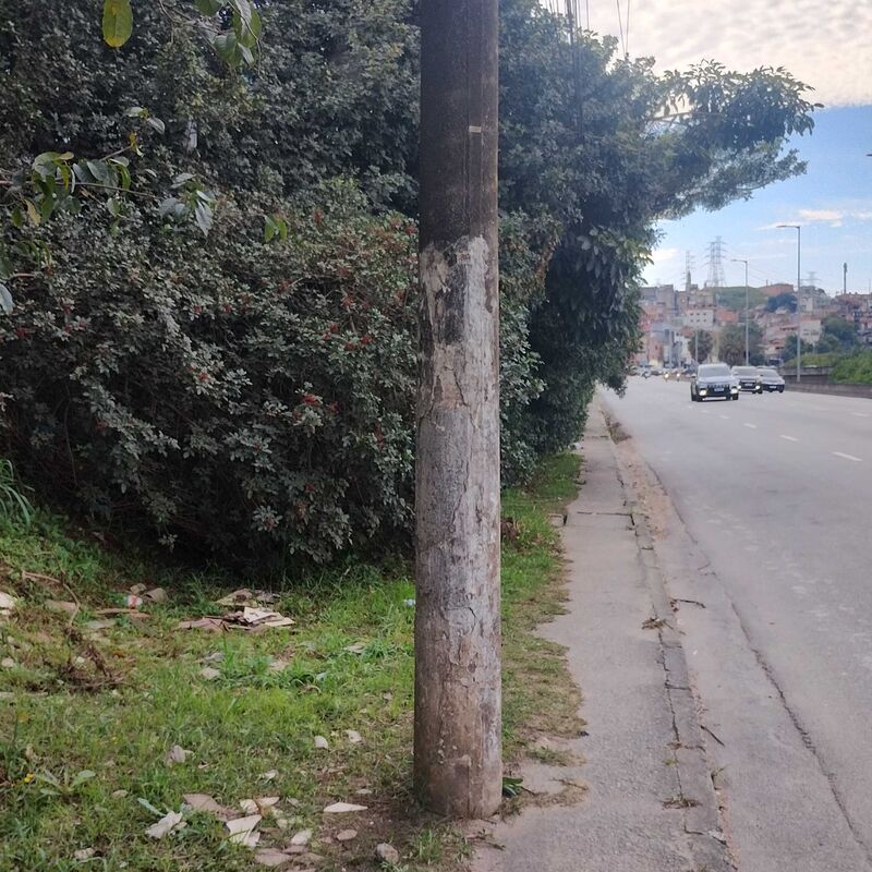 Imagem da publicação