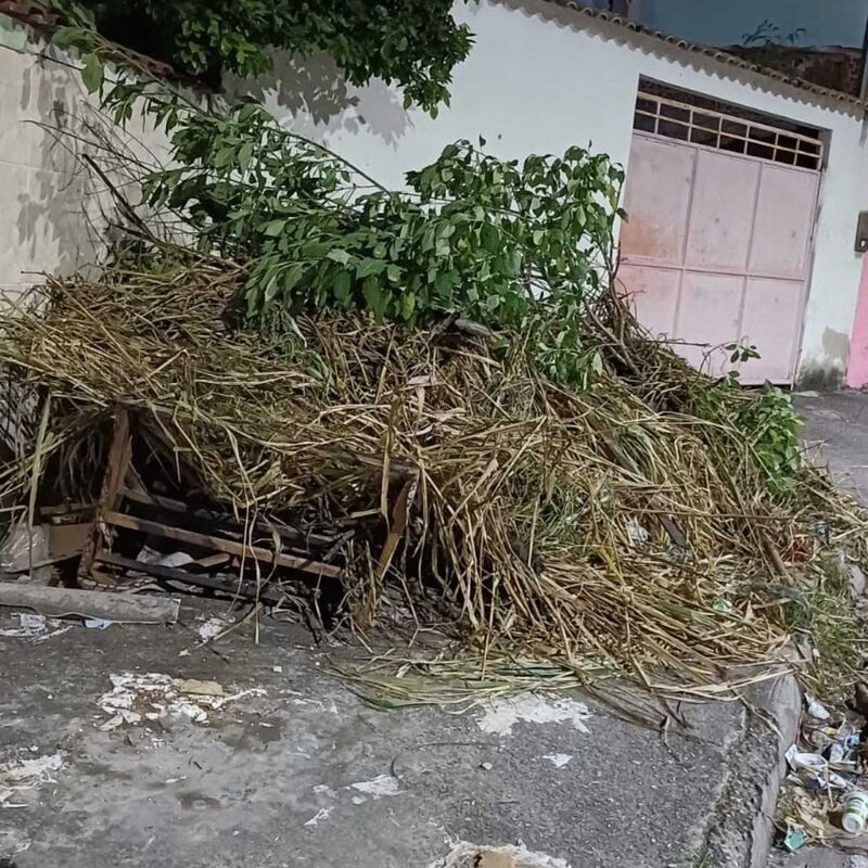 Imagem da publicação