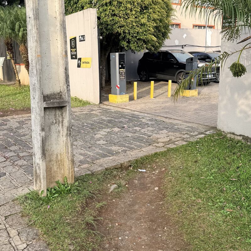 Imagem da publicação