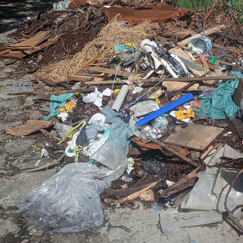 Imagem da publicação