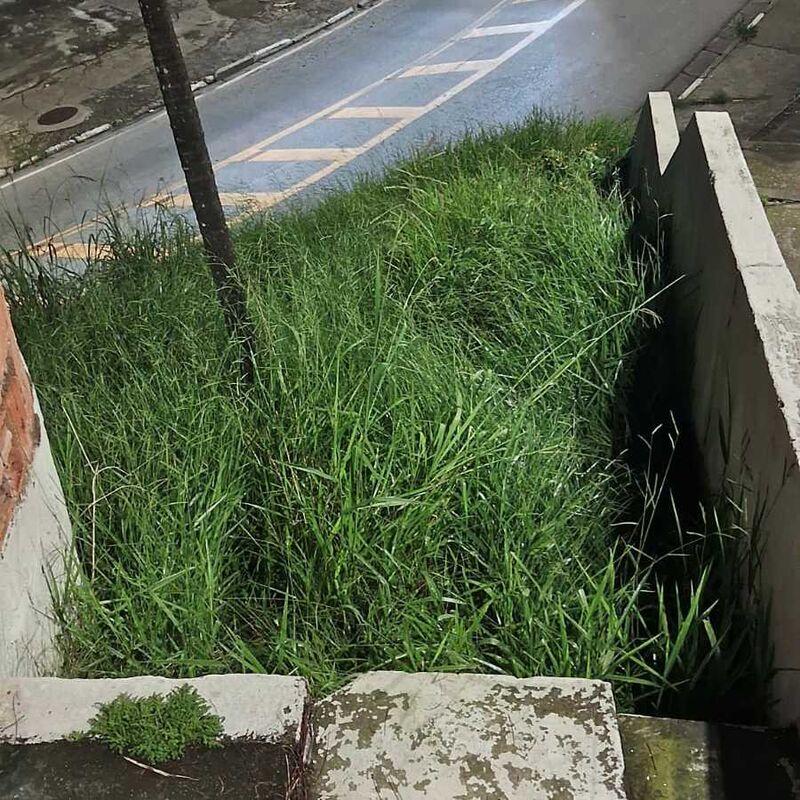 Imagem da publicação