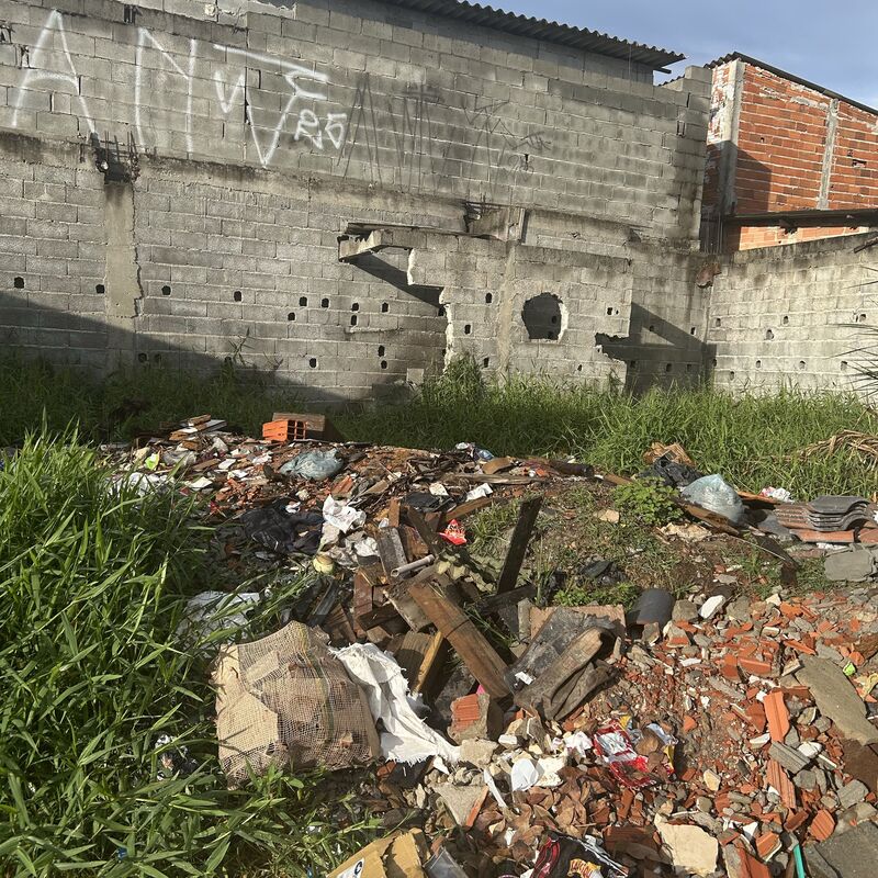 Imagem da publicação