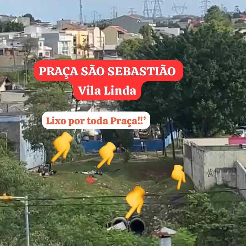 Imagem da publicação