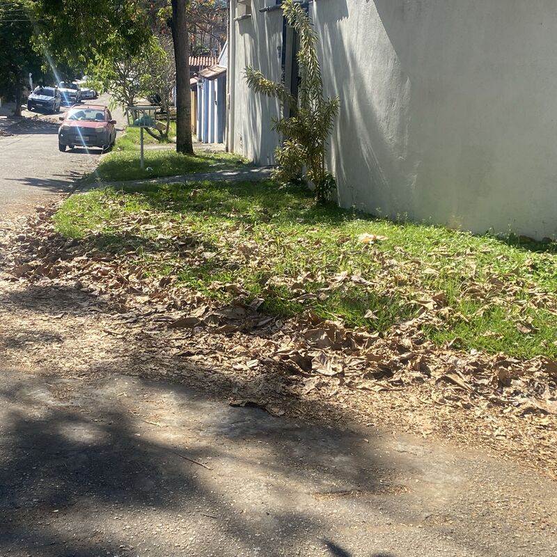 Imagem da publicação