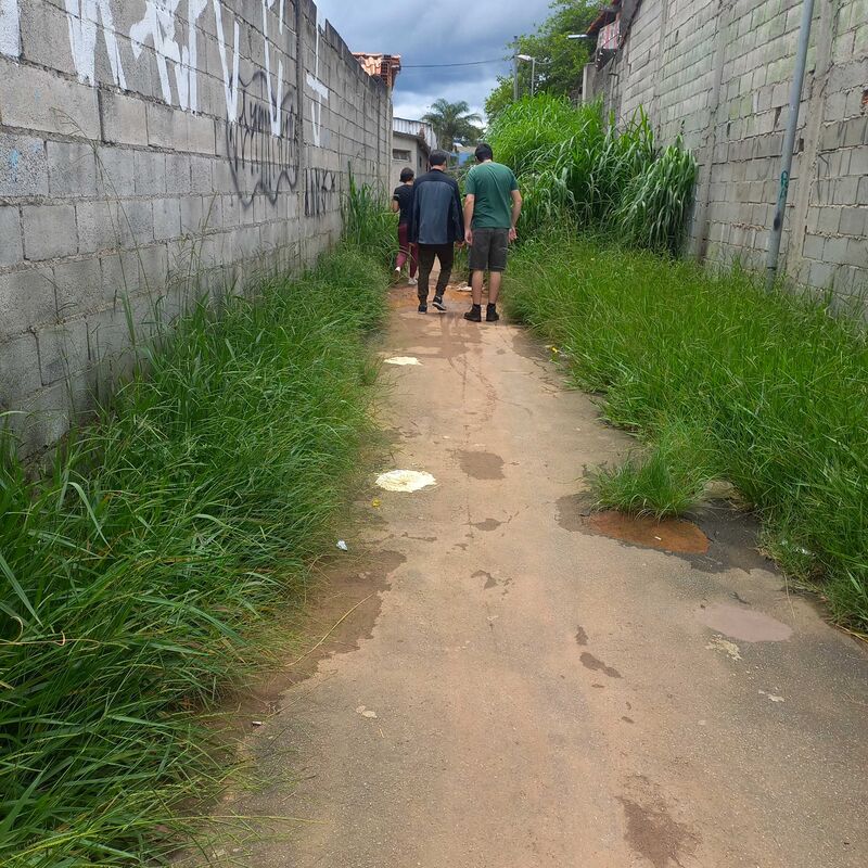 Imagem da publicação