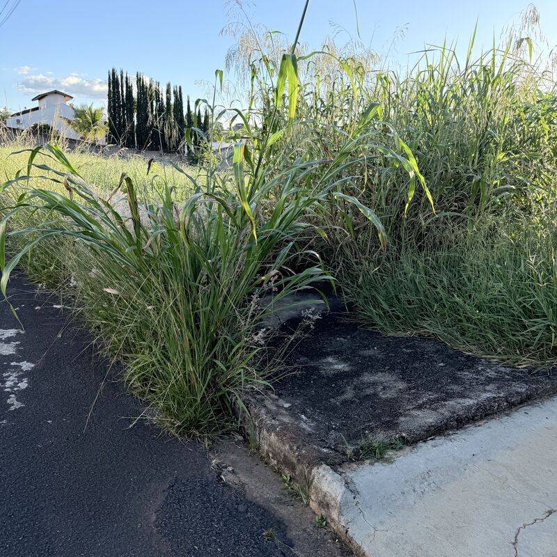 Imagem da publicação