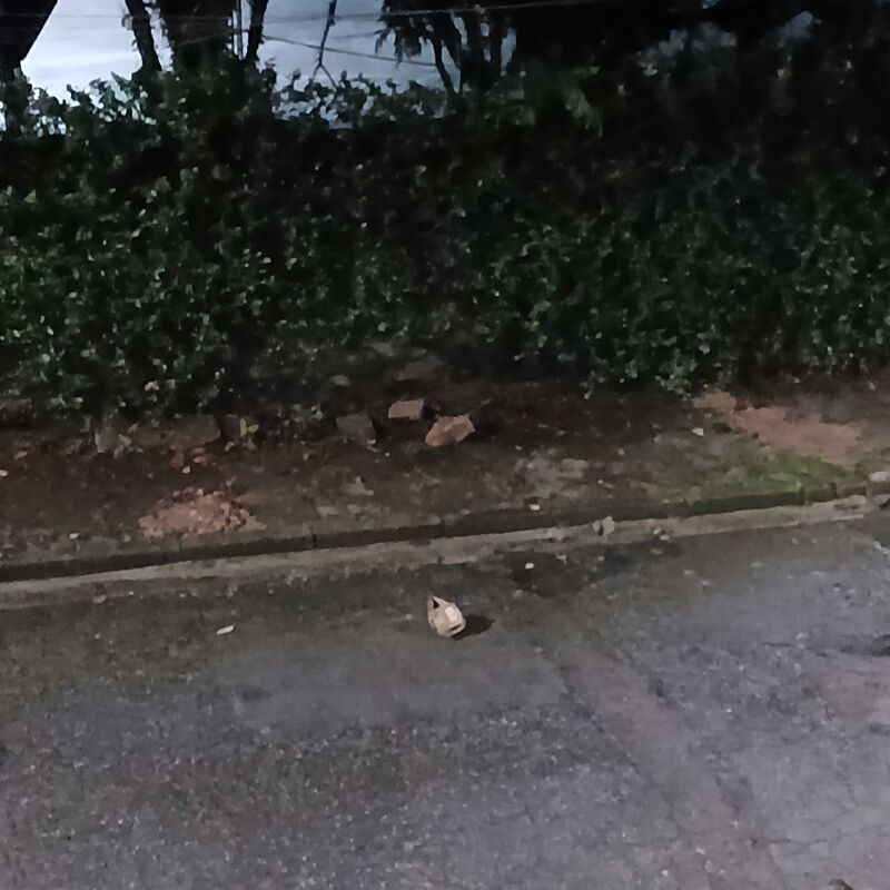 Imagem da publicação