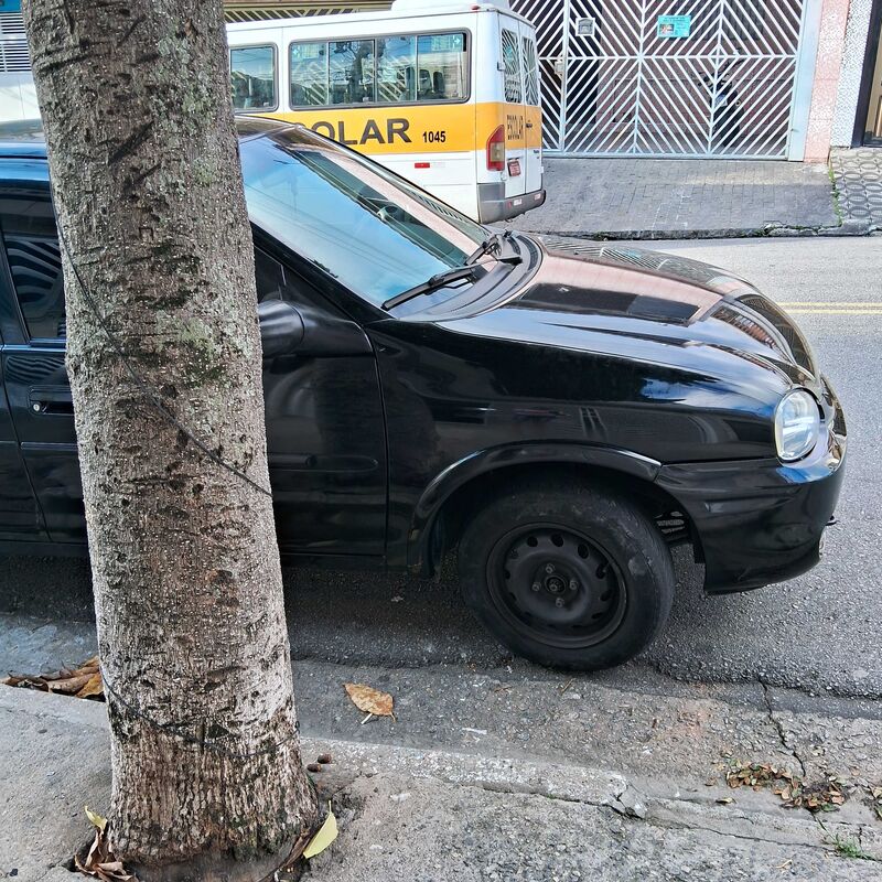 Imagem da publicação