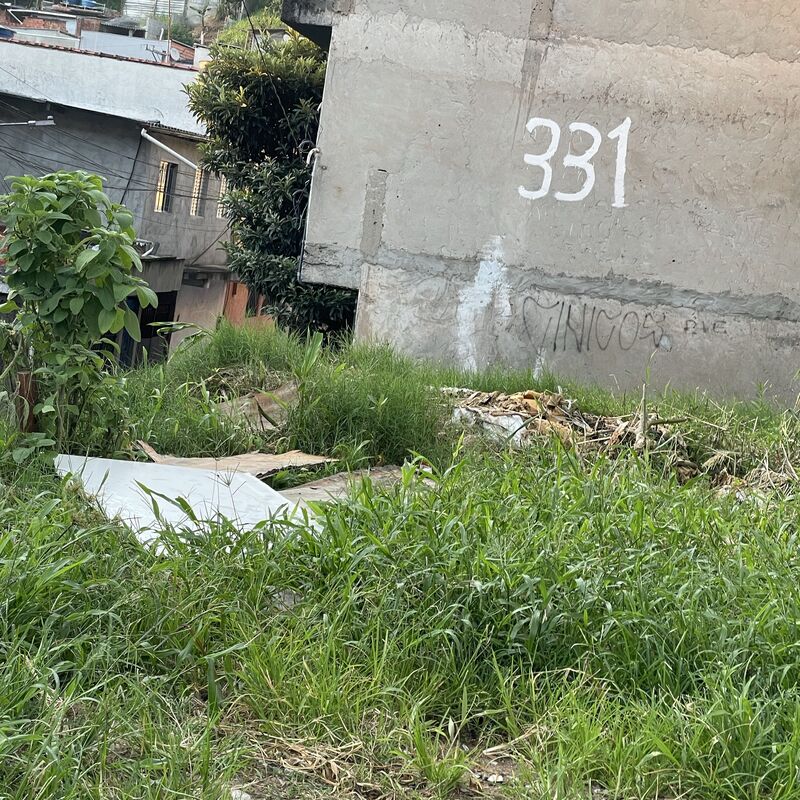 Imagem da publicação