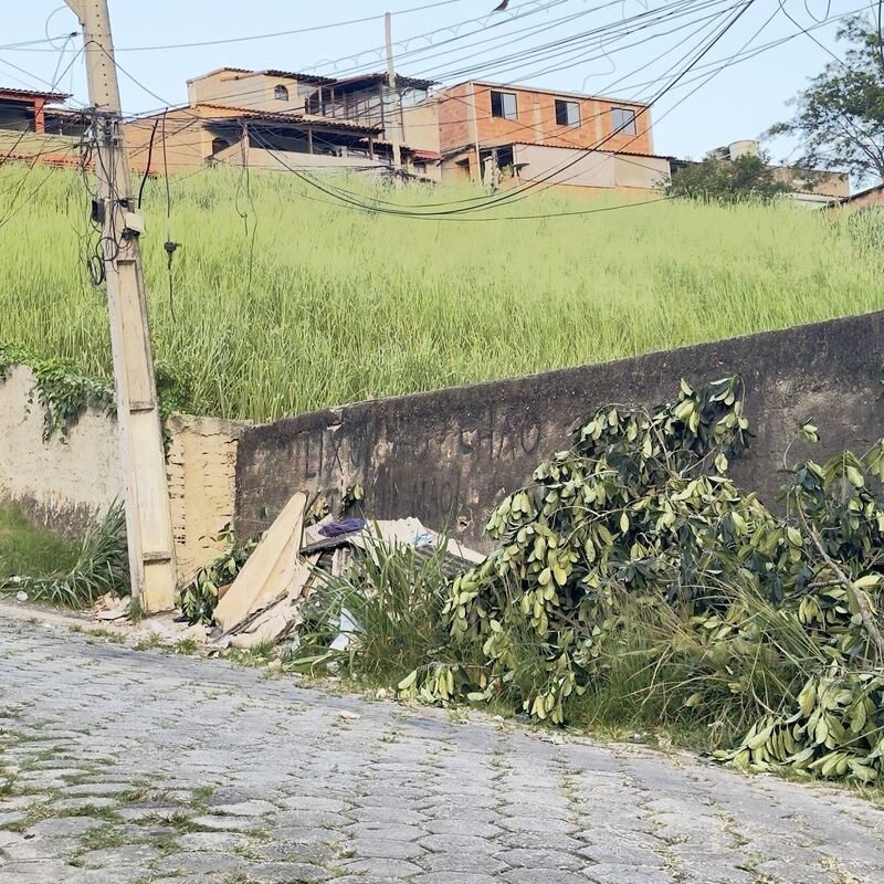 Imagem da publicação