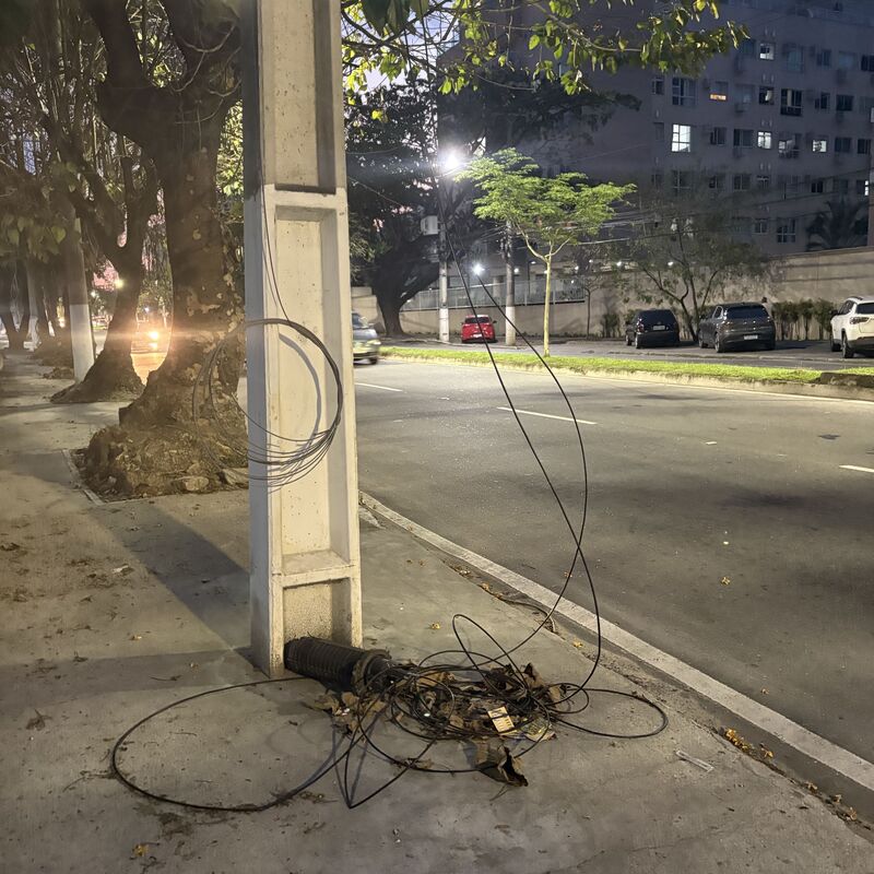 Imagem da publicação