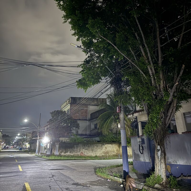 Imagem da publicação