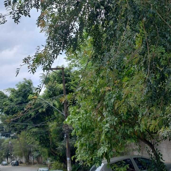 Imagem da publicação