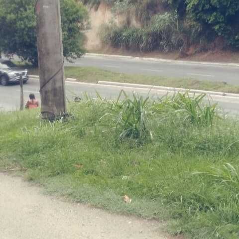 Imagem da publicação