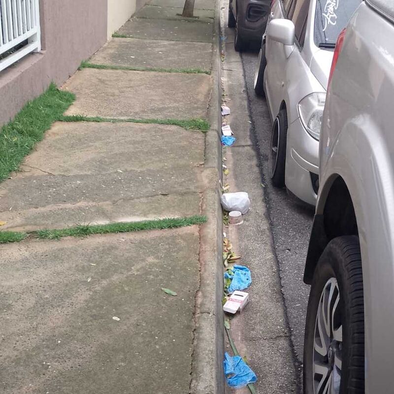 Imagem da publicação