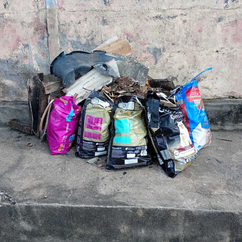 Imagem da publicação