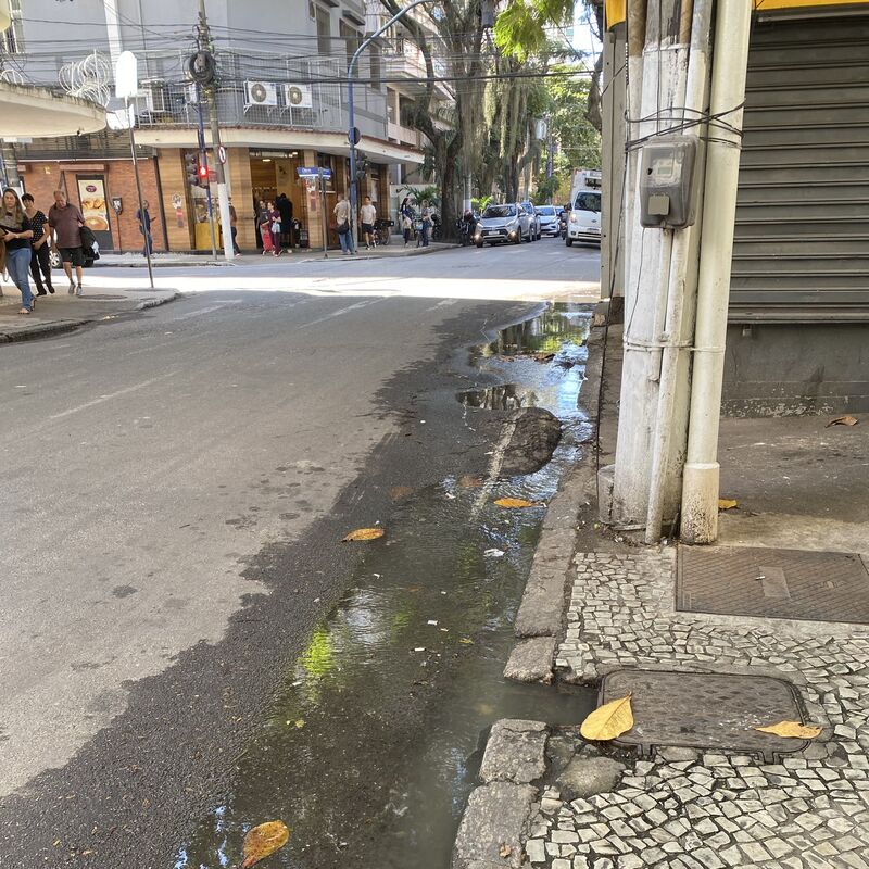 Imagem da publicação