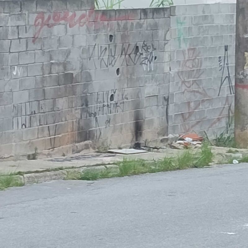 Imagem da publicação