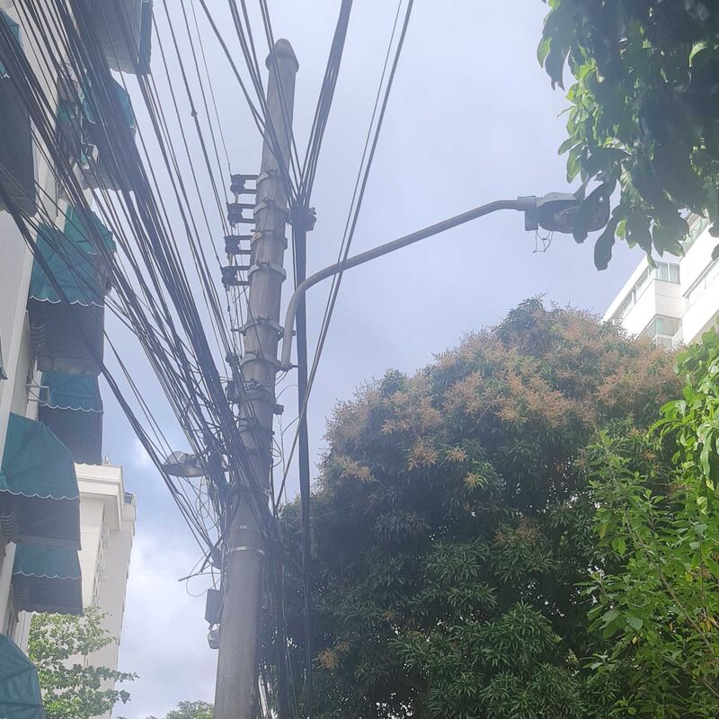 Imagem da publicação