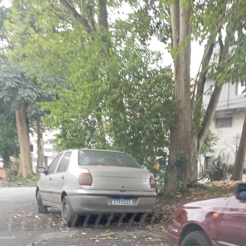 Imagem da publicação