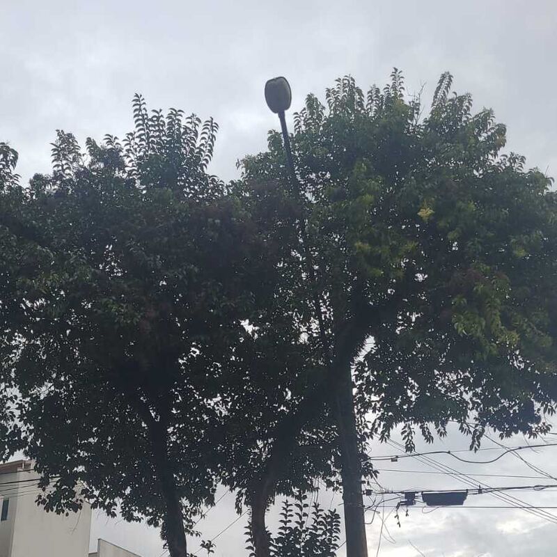 Imagem da publicação