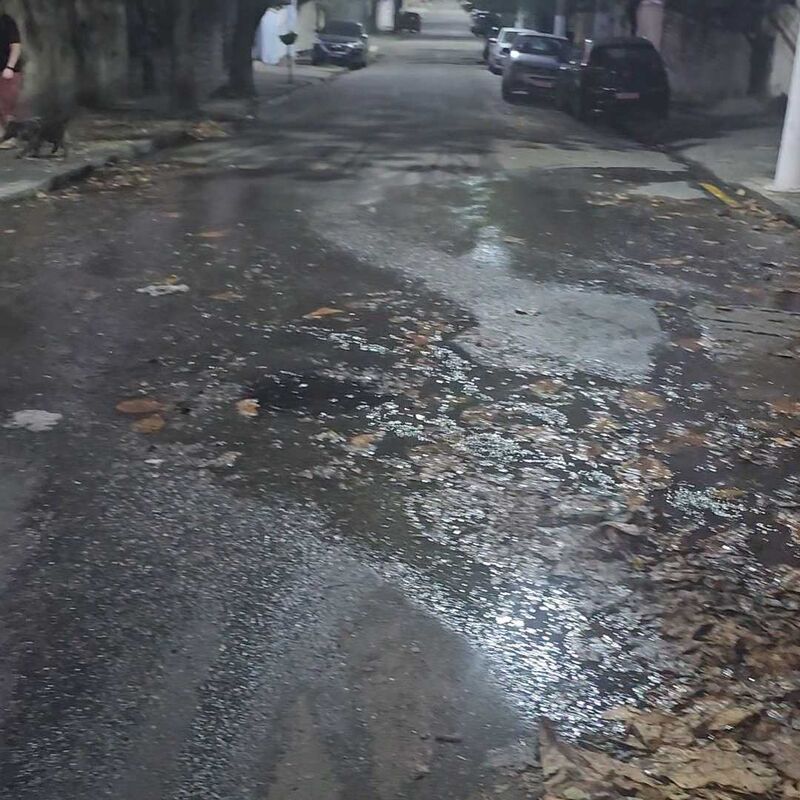Imagem da publicação