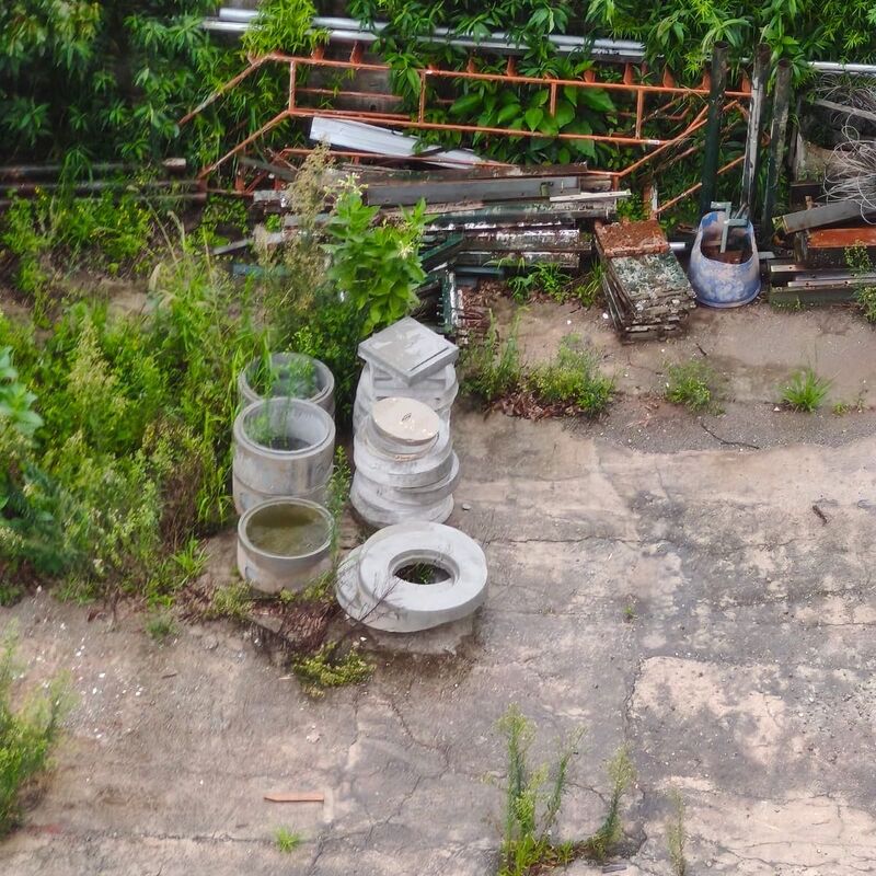 Imagem da publicação