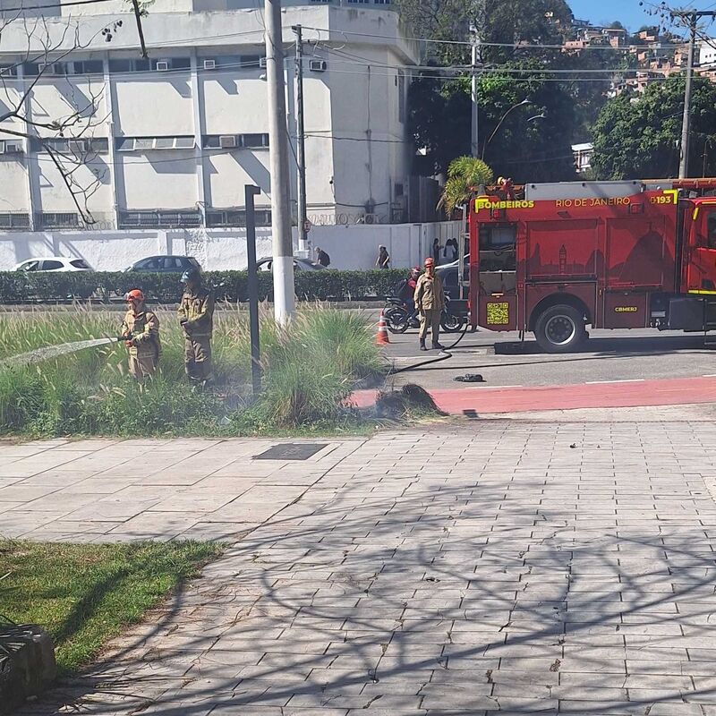 Imagem da publicação