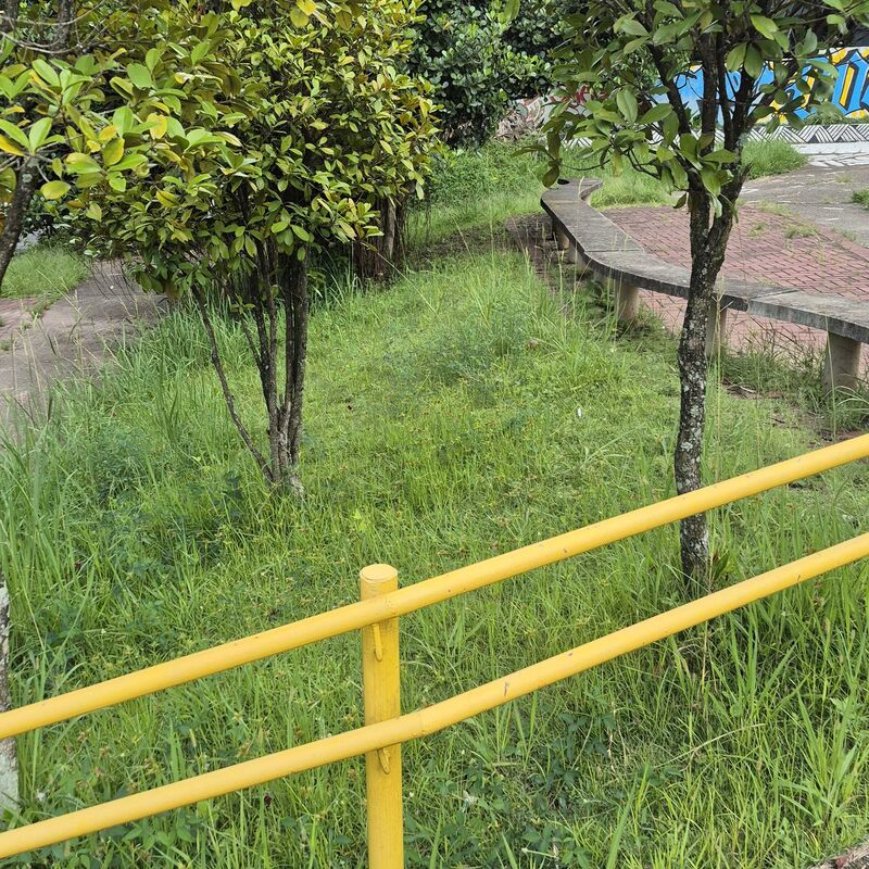 Imagem da publicação