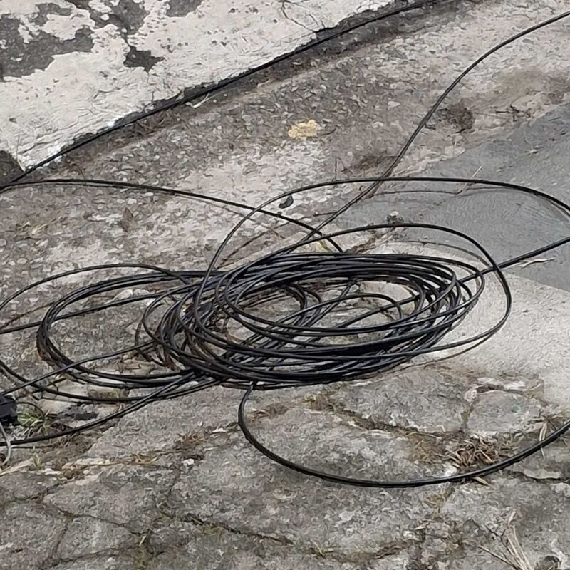 Imagem da publicação
