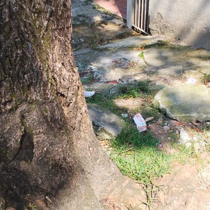 Imagem da publicação