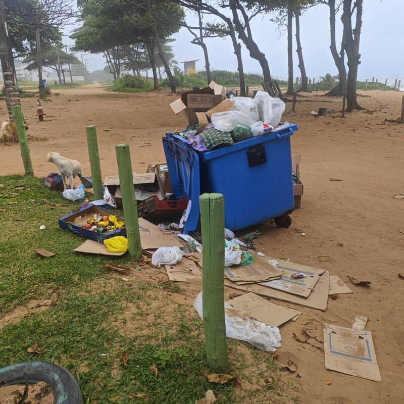 Imagem da publicação