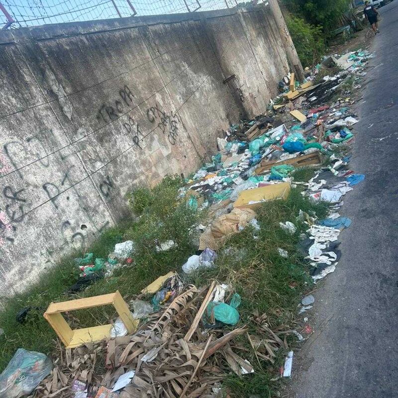 Imagem da publicação