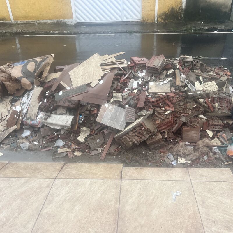 Imagem da publicação