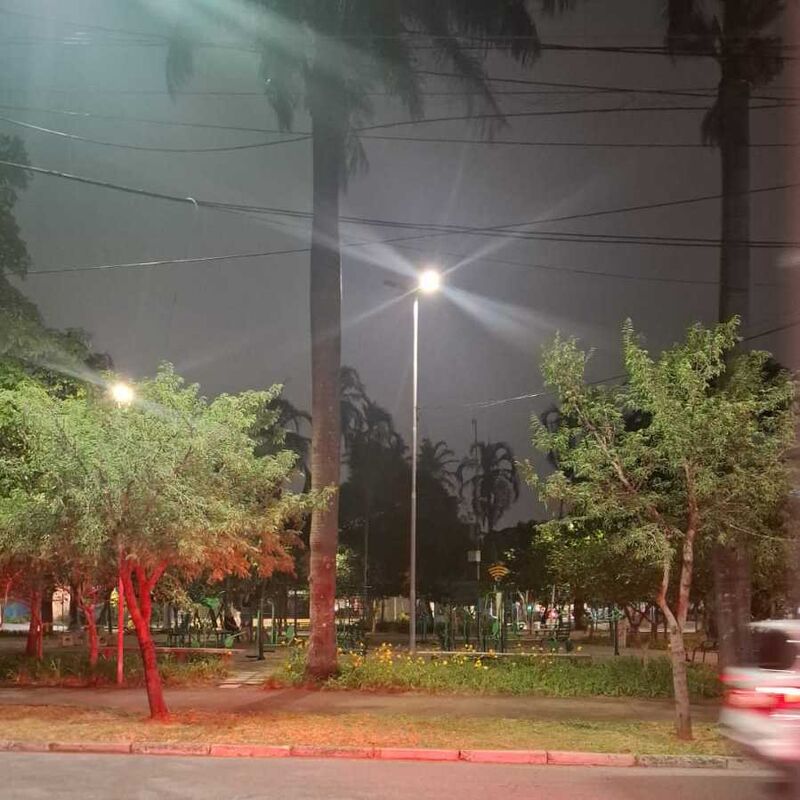 Imagem da publicação