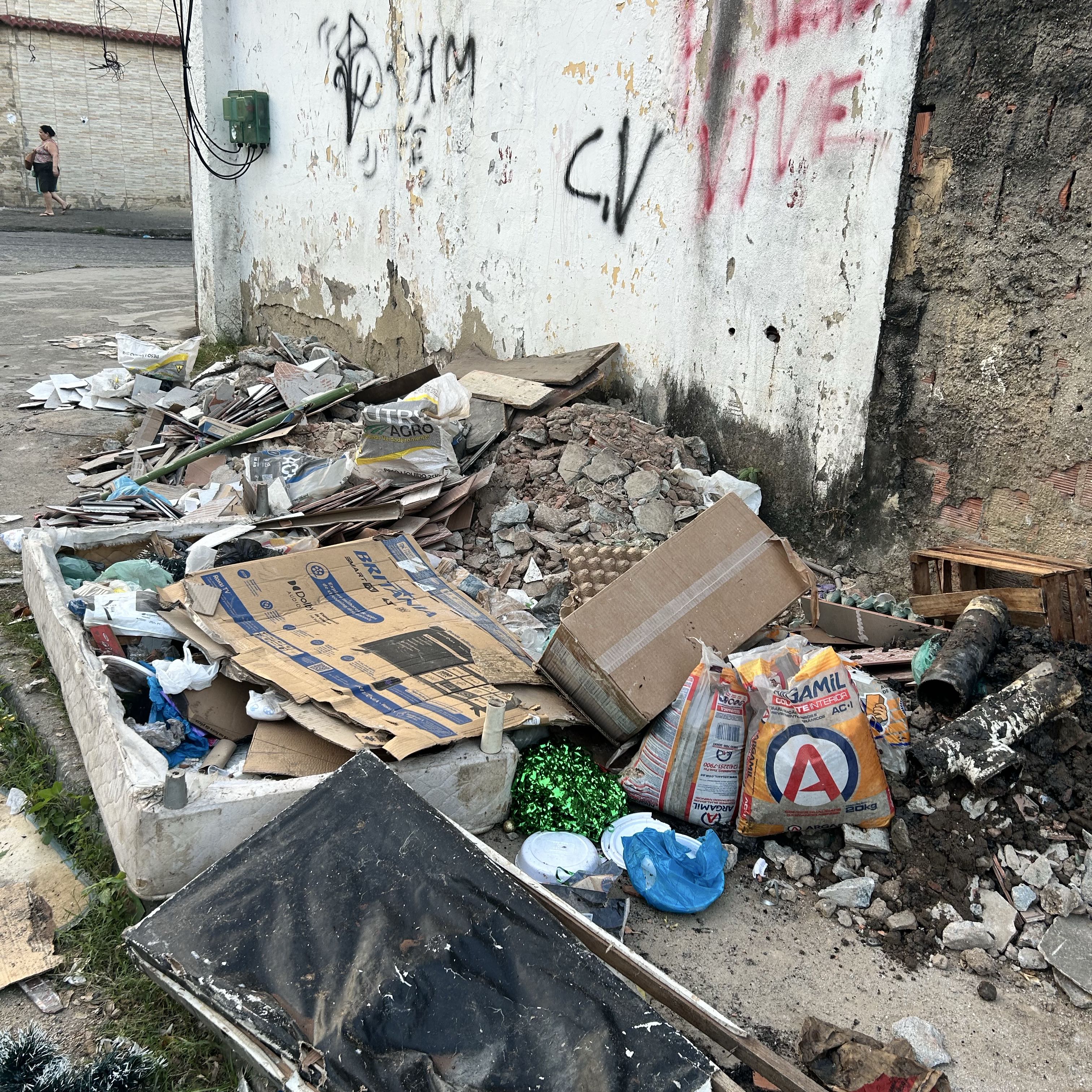 Imagem da publicação