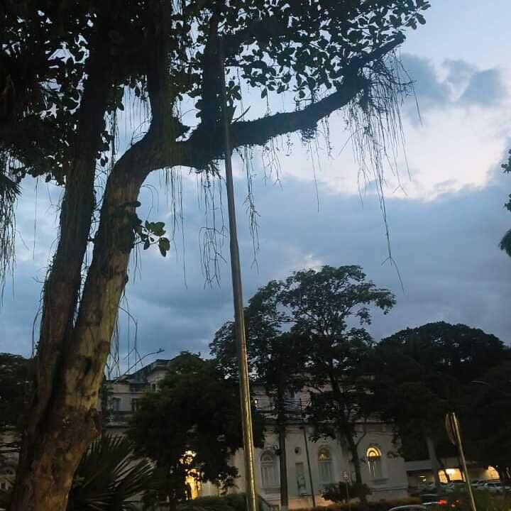 Imagem da publicação