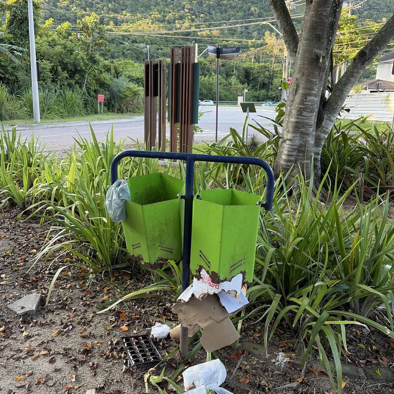 Imagem da publicação