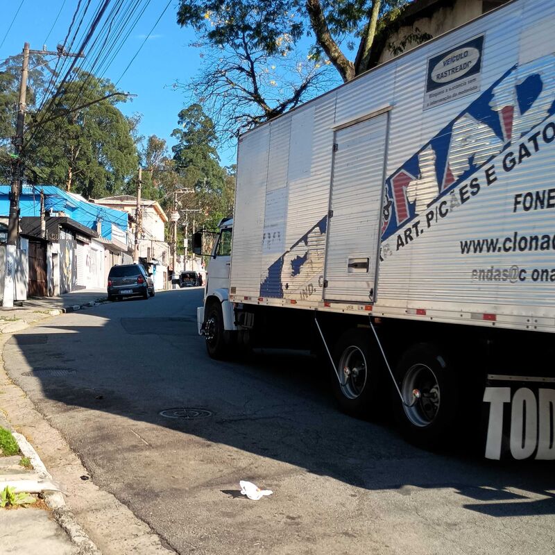 Imagem da publicação